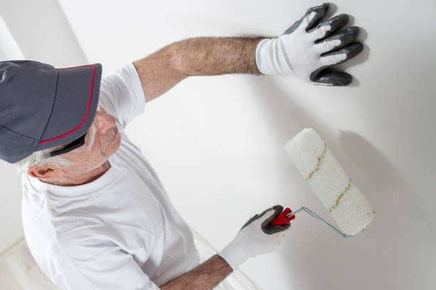 Best Crawl Space Mold Remediation  in Iola, WI