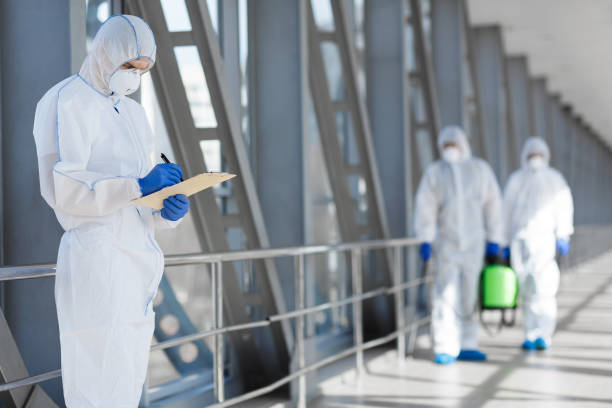 Best Attic Mold Removal  in Iola, WI