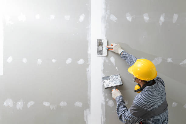 Professional Mold Removal in Iola, WI