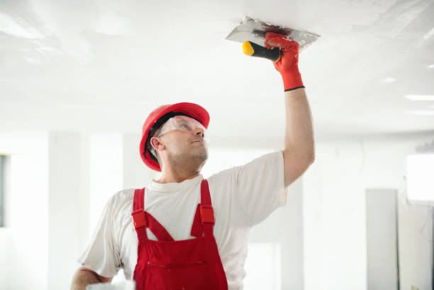 Best Mold-Related Health Consultation  in Iola, WI