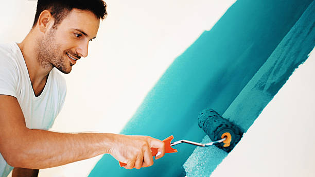 Best Mold Odor Removal Services  in Iola, WI